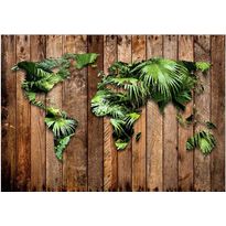 Sisustustarra Artgeist Jungle of the World, eri kokoja