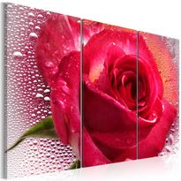 Canvas-taulu Artgeist Lady Rose, 3-osainen, eri kokoja