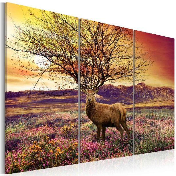 Taulu Artgeist Fancy sakara 3-osainen eri kokoja