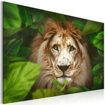 Canvas-taulu Artgeist Eyes of the jungle, eri kokoja