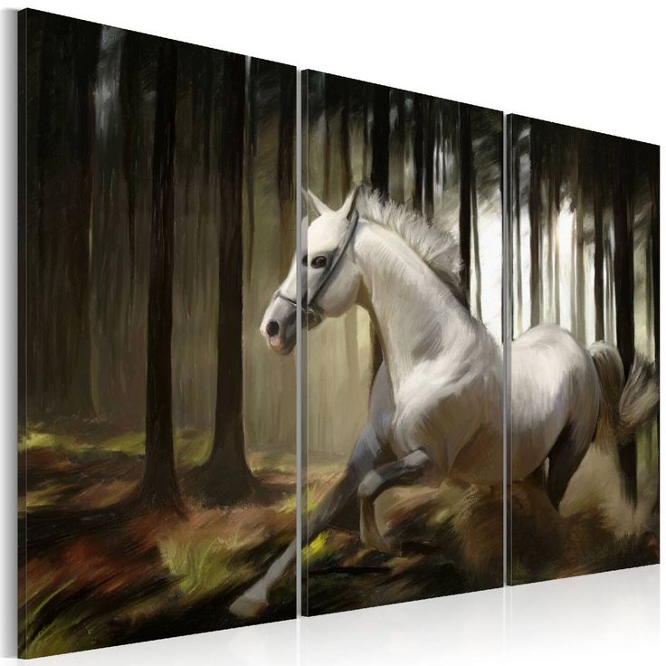 Taulu Artgeist A white horse eri kokoja