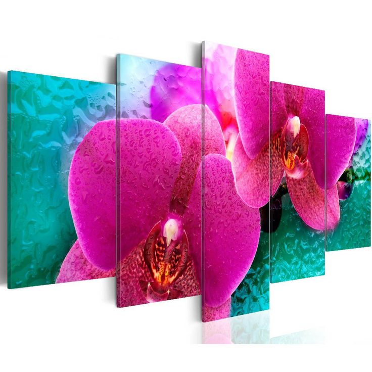 Taulu Artgeist Exotic orchids eri kokoja
