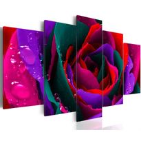 Canvas-taulu Artgeist Multicoloured rose, eri kokoja