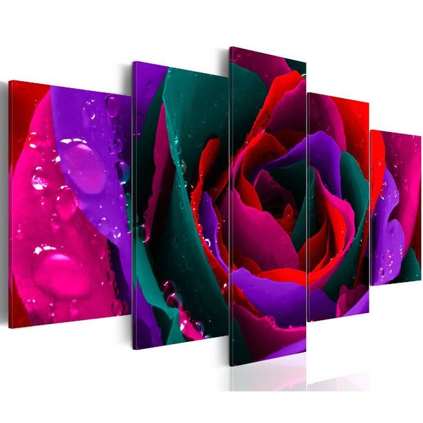 Taulu Artgeist Multicoloured rose eri kokoja