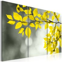 Canvas-taulu Artgeist Gold sprig, eri kokoja