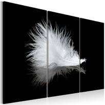Canvas-taulu Artgeist A small feather, eri kokoja