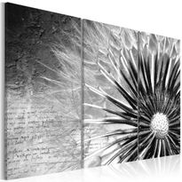 Canvas-taulu Artgeist Mustavalkoiset voikukat, eri kokoja