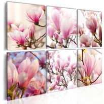 Canvas-taulu Artgeist Southern magnolias, eri kokoja