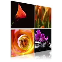 Canvas-taulu Artgeist Kauneuden olemus, eri kokoja