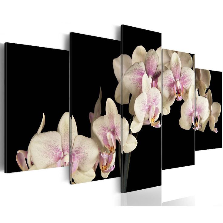 Taulu Artgeist An orchid on a contrasting background eri kokoja