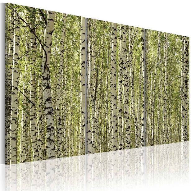 Taulu Artgeist A forest of birch trees eri kokoja