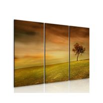 Canvas-taulu Artgeist A lonely tree on a meadow, eri kokoja