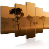 Canvas-taulu Artgeist Fog over a savannah, eri kokoja