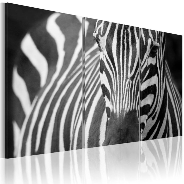 Taulu Artgeist Zebra eri kokoja