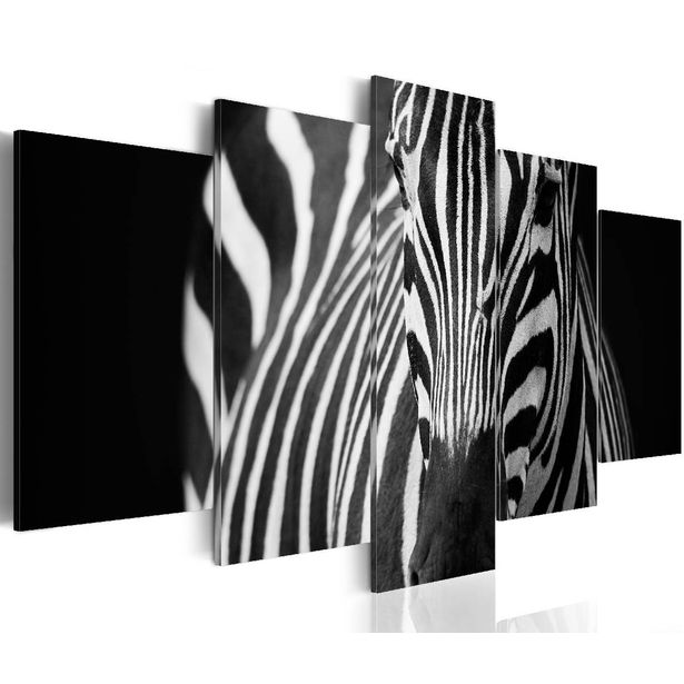 Taulu Artgeist Zebra look eri kokoja