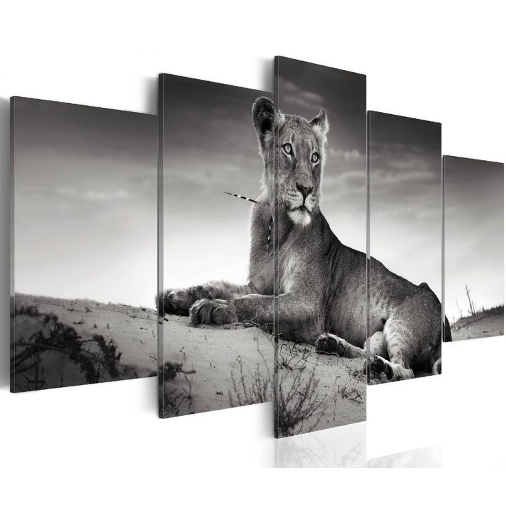 Taulu Artgeist Lioness in a desert eri kokoja
