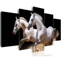 Canvas-taulu Artgeist Gallop - freedom and power, eri kokoja