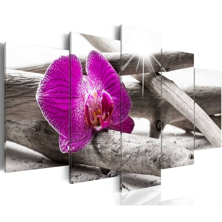 Taulu Artgeist Orchid on beach eri kokoja