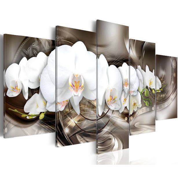 Taulu Artgeist Brown Mirage Orchids eri kokoja