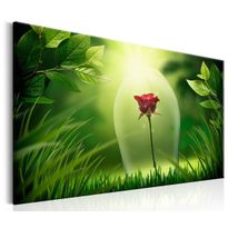 Canvas-taulu Artgeist Magical Rose, eri kokoja