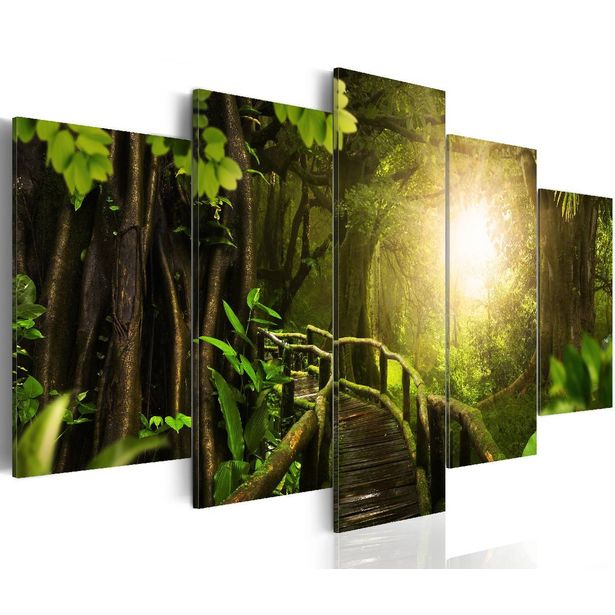 Taulu Artgeist Magical Jungle eri kokoja