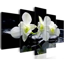 Canvas-taulu Artgeist Melancholic orchids, eri kokoja