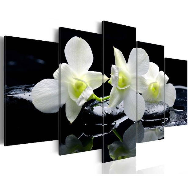 Taulu Artgeist Melancholic orchids eri kokoja