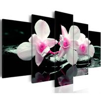 Canvas-taulu Artgeist Rest of orchids, eri kokoja