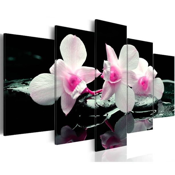 Taulu Artgeist Rest of orchids eri kokoja