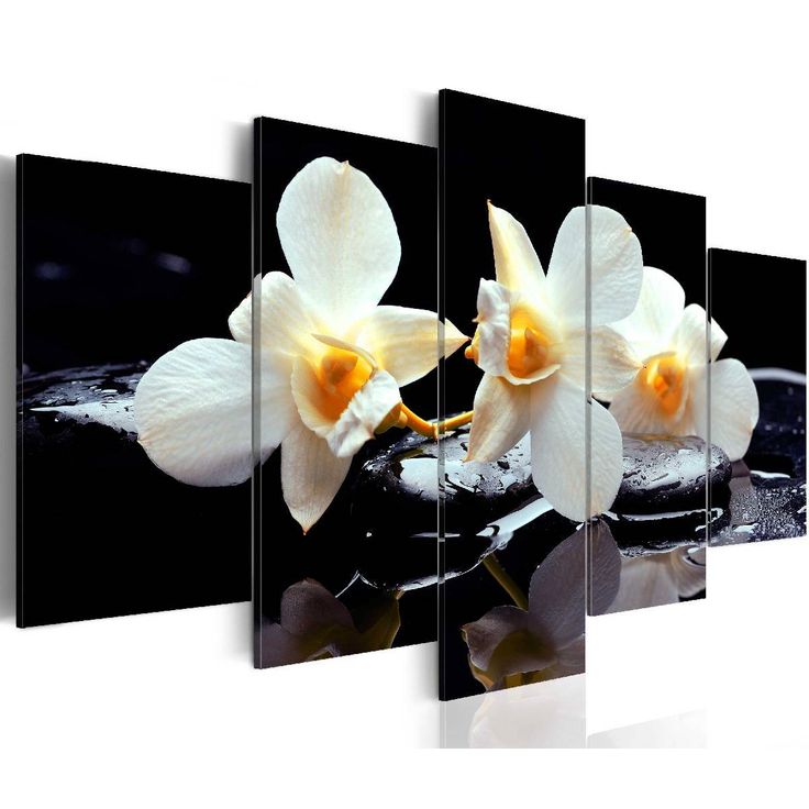 Taulu Artgeist Orchids with orange accent eri kokoja