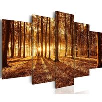 Canvas-taulu Artgeist Amber forest, eri kokoja