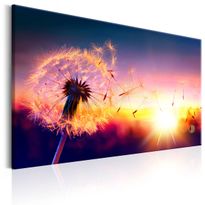 Canvas-taulu Artgeist Freedom of Nature, eri kokoja
