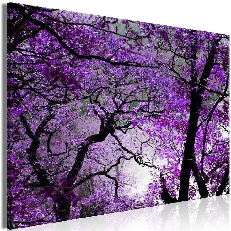 Taulu Artgeist Purple Afternoon 1-osainen leveä eri kokoja