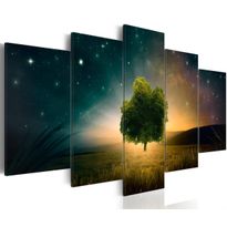 Canvas-taulu Artgeist Valley of Stars, eri kokoja