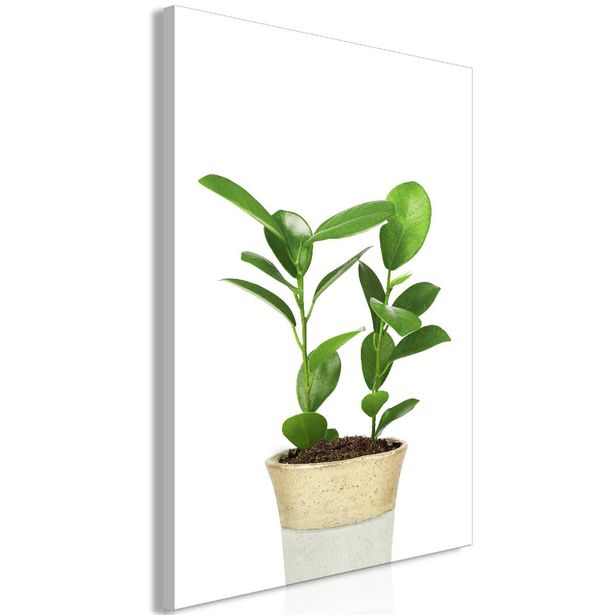 Taulu Artgeist Plant In Pot 1-osainen pystysuuntainen eri kokoja