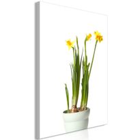 Canvas-taulu Artgeist Narcissus, 1-osainen, pystysuuntainen, eri kokoja
