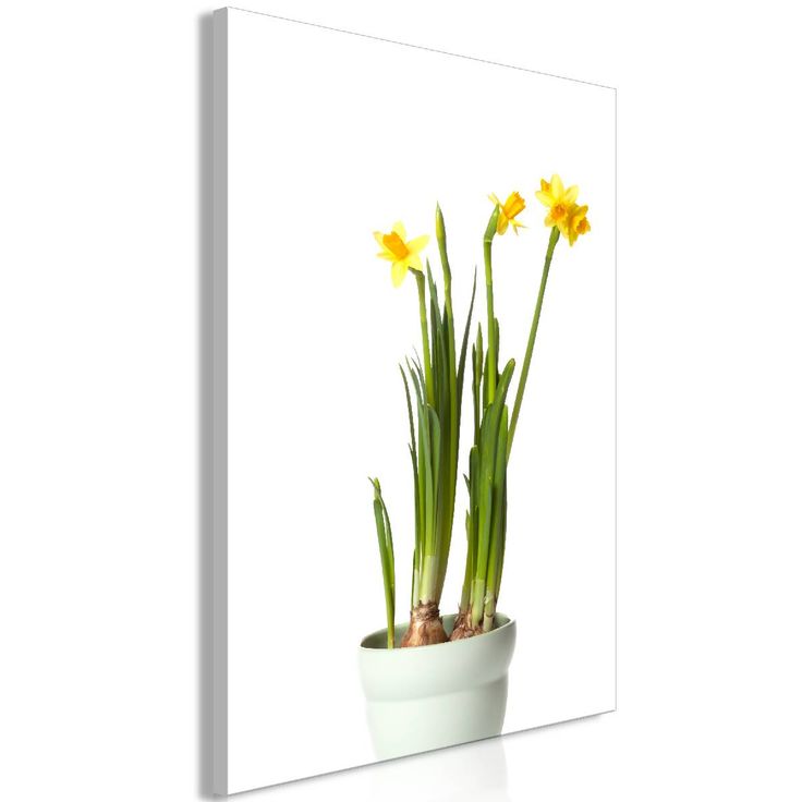 Taulu Artgeist Narcissus 1-osainen pystysuuntainen eri kokoja