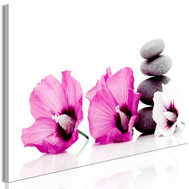 Taulu Artgeist Calm Mallow Pink 1-osainen kapea eri kokoja