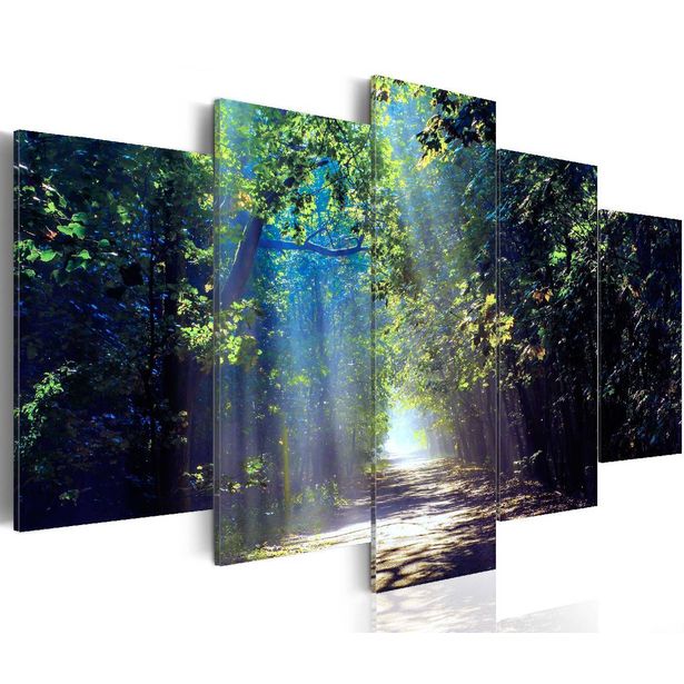 Taulu Artgeist Sunny Forest Path eri kokoja