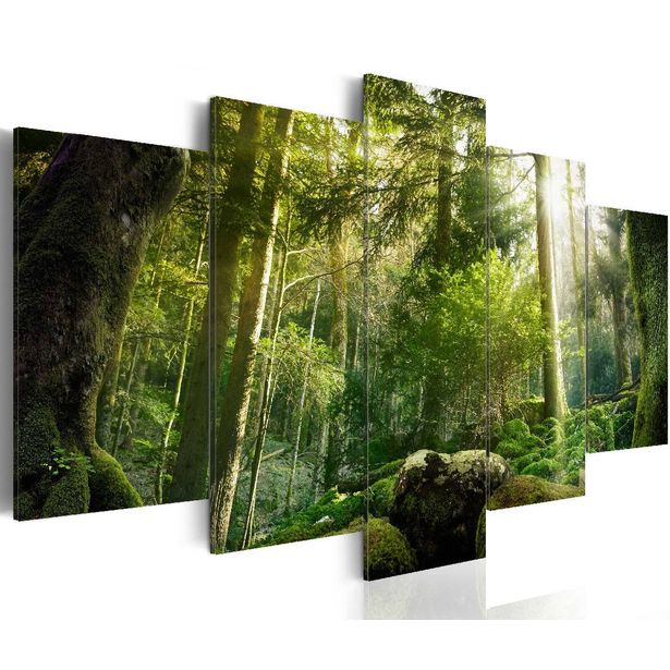Taulu Artgeist The Beauty of the Forest eri kokoja