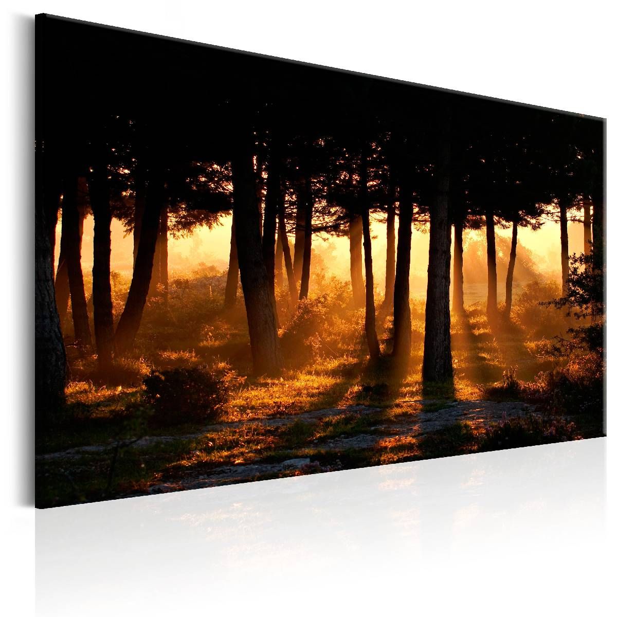 Taulu Artgeist Forest Dawn, 80x120cm
