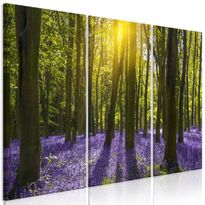 Canvas-taulu Artgeist Hyacinth Field, 3-osainen, eri kokoja