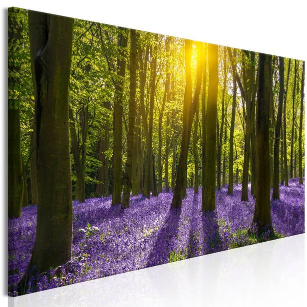 Taulu Artgeist Hyacinth Field 1-osainen kapea eri kokoja