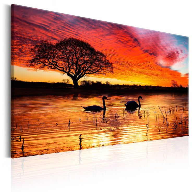 Taulu Artgeist Swan Lake eri kokoja
