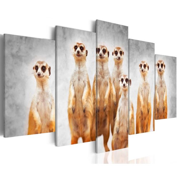 Taulu Artgeist Meerkats eri kokoja