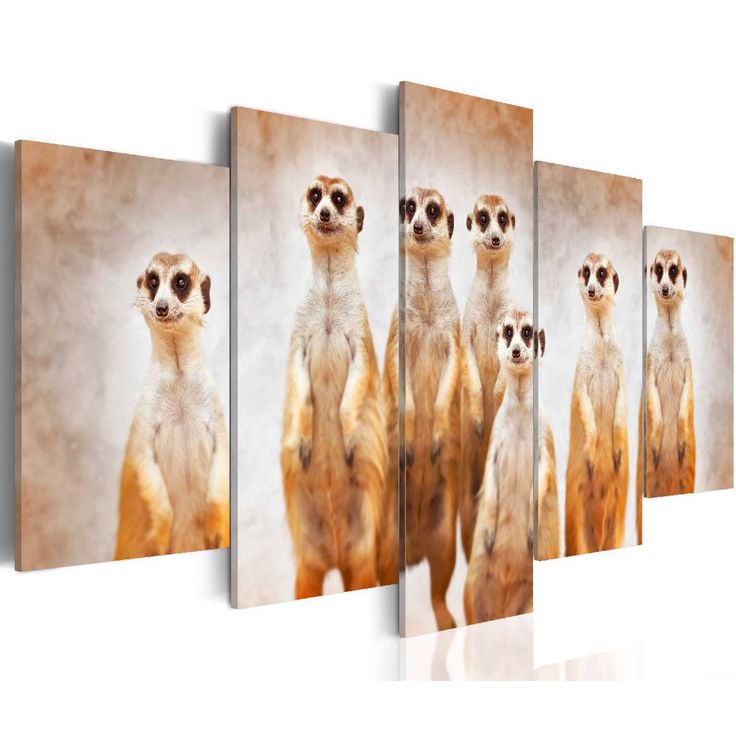 Taulu Artgeist Family of meerkats eri kokoja