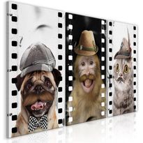 Canvas-taulu Artgeist Funny Pets Collection, eri kokoja