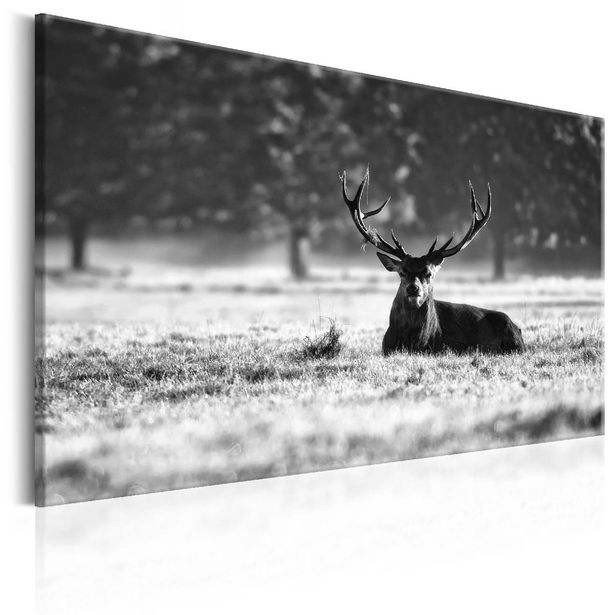 Taulu Artgeist Lying Deer eri kokoja