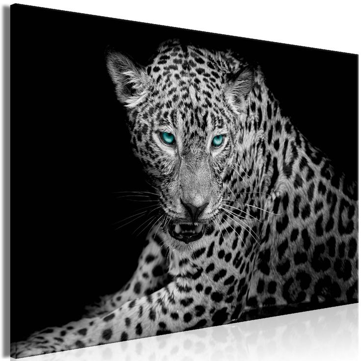 Taulu Artgeist Leopard Portrait 1-osainen leveä eri kokoja