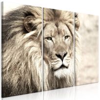 Canvas-taulu Artgeist The King of Beasts Beige, 3-osainen, eri kokoja
